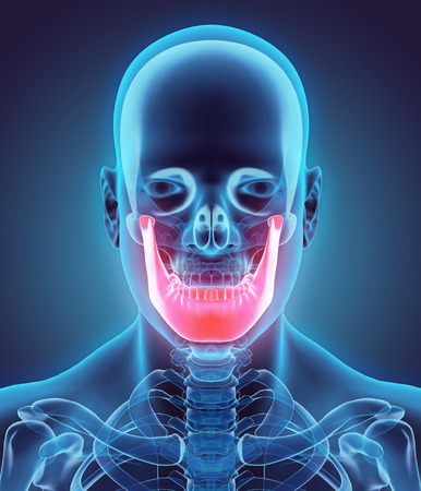 3D illustration of Mandible - Part of Human Skeleton.の写真素材