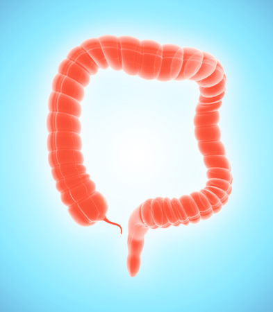 3D illustration of Large Intestine, Part of Digestive System.の写真素材
