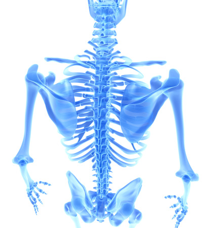 3D illustration of shiny blue skeleton system, medical concept.の写真素材