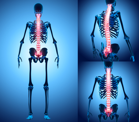 3D illustration of Spine - Part of Human Skeleton.の写真素材