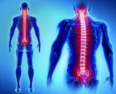 3D illustration of Spine - Part of Human Skeleton.の写真素材