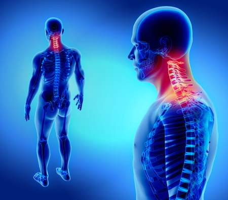 3D illustration of Cervical Spine - Part of Human Skeleton.の写真素材