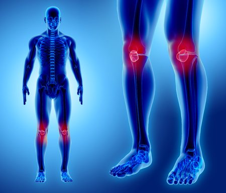 3D illustration of Patella - Part of Human Skeleton.の写真素材