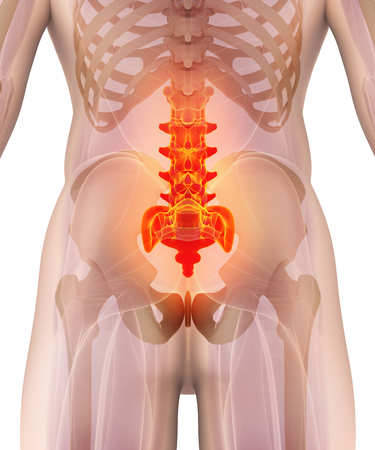 3D illustration of Cervical Spine - Part of Human Skeleton.の写真素材