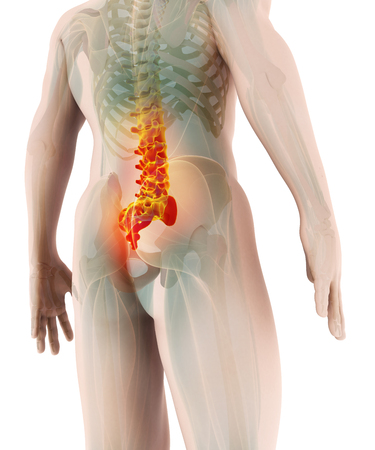 3D illustration of Cervical Spine - Part of Human Skeleton.の写真素材