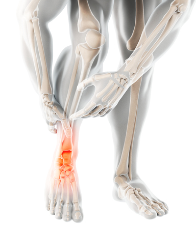 Ankle painful - skeleton x-ray, 3D Illustration medical concept.の写真素材