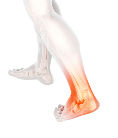 Ankle painful - skeleton x-ray, 3D Illustration medical concept.の写真素材