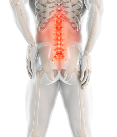 3D Illustration of sacral spine painful, medical concept.の写真素材
