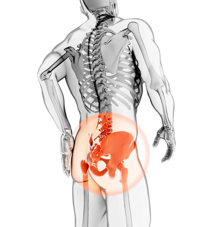 3D illustration, hip painful skeleton x-ray, medical concept.の写真素材