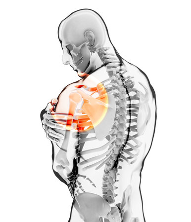 3D illustration, shoulder painful skeleton x-ray, medical concept.の写真素材