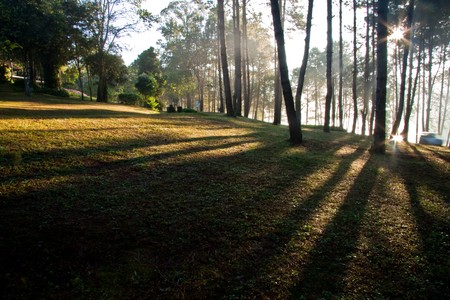 Camping park on morning imageの写真素材
