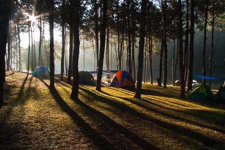 Camping park on morning imageの写真素材
