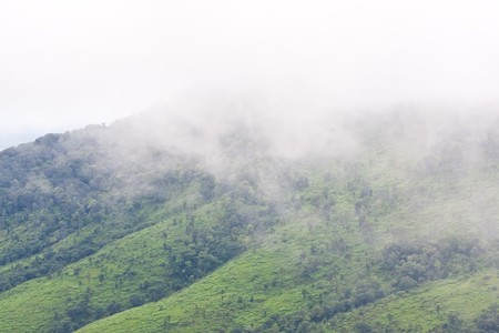 Cloud on mountain at viewpiont national park of Thailandの写真素材