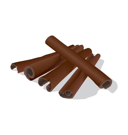 Cinnamon is is a spice used mainly as an aromatic condiment and flavoring additive.のイラスト素材