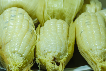 tree corn on the disk for eating, concept white background