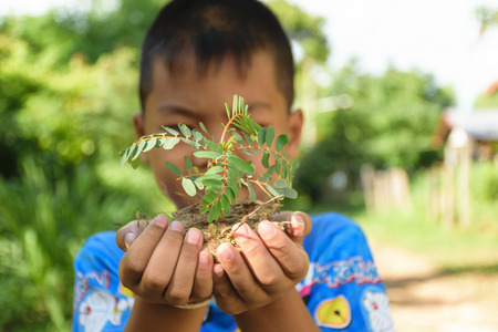 two hand of boy holding little tree,concept develop green earthの写真素材