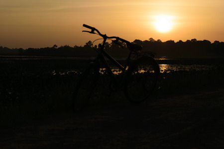 bicycle parking in river and plant flower in the evening, sunshine background, concept shadows imageの写真素材