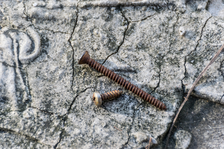 screws rusty steel with old cement floor background