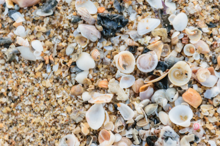 gold sand beach background texture ,close up to sand ground,nature concept background textureの写真素材