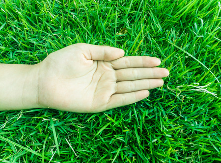 Holding hand body part of children with green grass backgroundの写真素材