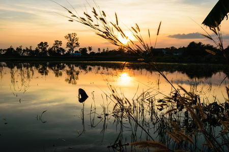 Sunset on te river with gold sky background and twilight scene landscape, and refrestion of sunrise on the surface water. nature background.の写真素材