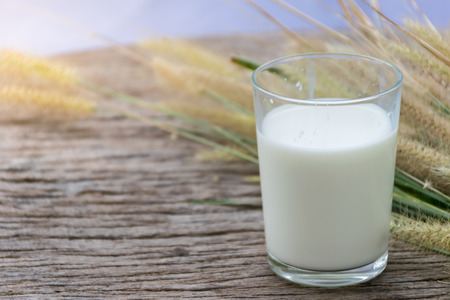 fresh milk with plant flower background, put on wooden table, high calcium, healthy menu concept.の写真素材