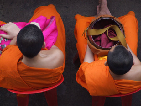 Two monkの写真素材