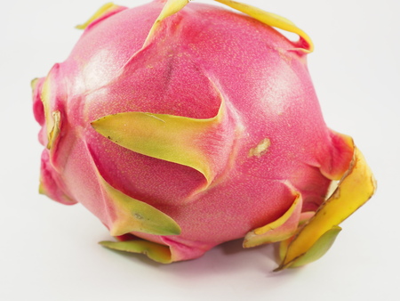 fruitの写真素材