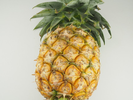 fruitの写真素材