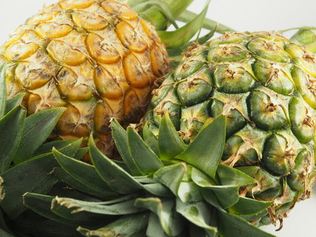 fruitの写真素材
