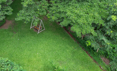 Swing in gardenの写真素材