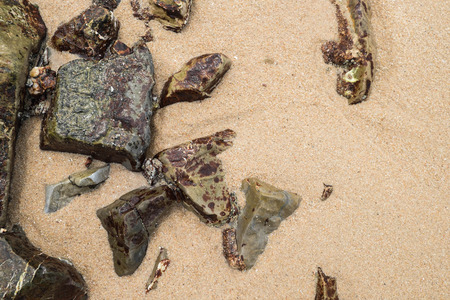 Rock on beachの写真素材