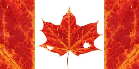 Canadian flag design made up of a real maple leaf