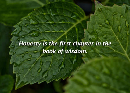 Honesty is the first chapter in the book of wisdom