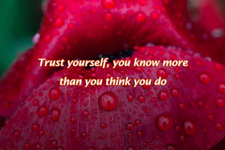 Trust yourself, you know more than you think you do