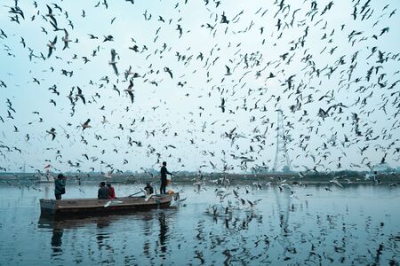 Photo of Siberian bird flying over a river at day time, with a boat sailing in the middleの写真素材