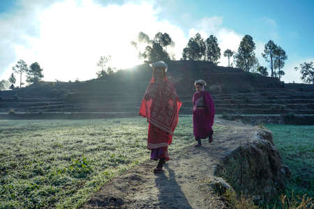 Almora, Uttrakhand / India- May 30 2020 : Village women going to the fields in a beautiful morning...