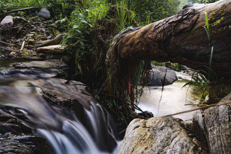 Slow shutter photo of a flowing river with a broken log on the top of it forming a bridge.の写真素材