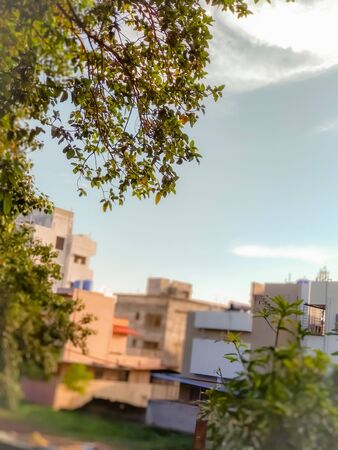 A photo of green tree branch with blue skyの写真素材