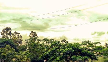 Indian green nature.A picture of beautiful view of nature and skyの写真素材