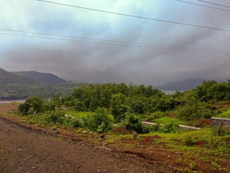 A closeup view of Beautiful green nature with blue sky.landscape from india.の写真素材
