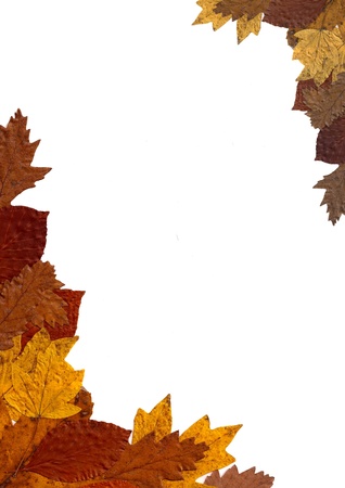 Colorful frame of high detailed autumn leaves with copy-spaceの写真素材