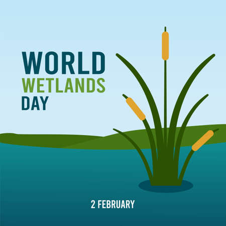 World Wetlands Day Vector Illustration. Suitable for greeting card poster and bannerのイラスト素材