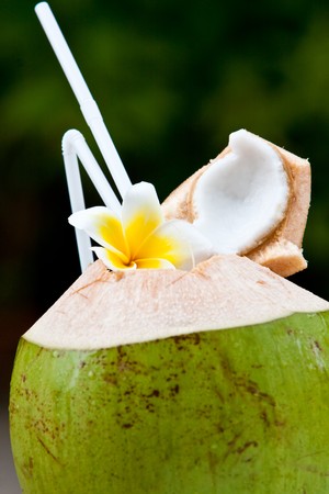Fresh coconutの写真素材