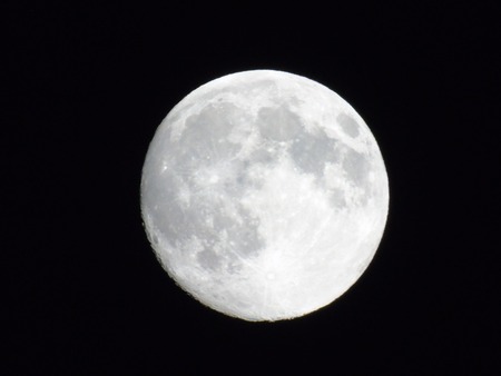 Moon lightの写真素材