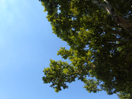 Piemonte, Italy - 08/04/2018: An amazing photography of the city of Turin from italy in summer days from the high and low part of the city including the beautiful river of Po from the centerのeditorial素材