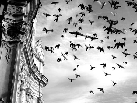 Liguria, Italy - 08/03/2020: Beautiful group of birds flying over the old church in winter days with some clouds in the background.の写真素材