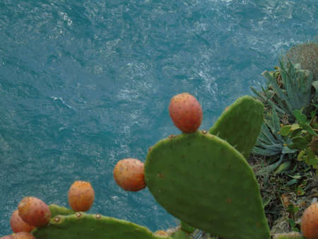Cinque Terre, Italy - 08/31/2020: Beautiful landscape of a coastal fishing village, amazing view on many little colorful houses, traditional architecture of the little Italian town called Cinque Terreの写真素材