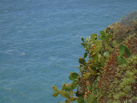 Cinque Terre, Italy - 08/31/2020: Beautiful landscape of a coastal fishing village, amazing view on many little colorful houses, traditional architecture of the little Italian town called Cinque Terreの写真素材