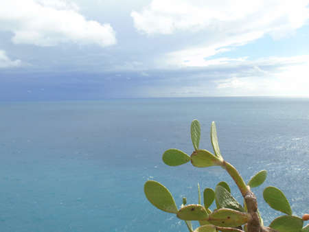 Cinque Terre, Italy - 08/31/2020: Beautiful landscape of a coastal fishing village, amazing view on many little colorful houses, traditional architecture of the little Italian town called Cinque Terreの写真素材